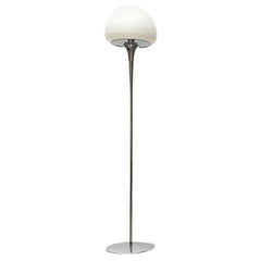 Mid-Century Italian Floor Lamp by Goffredo Reggiani for Reggiani, 1960s