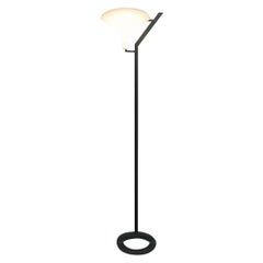 Italian Zen Terra Floor Lamp by Ernesto Gismondi for Artemide, 1980s