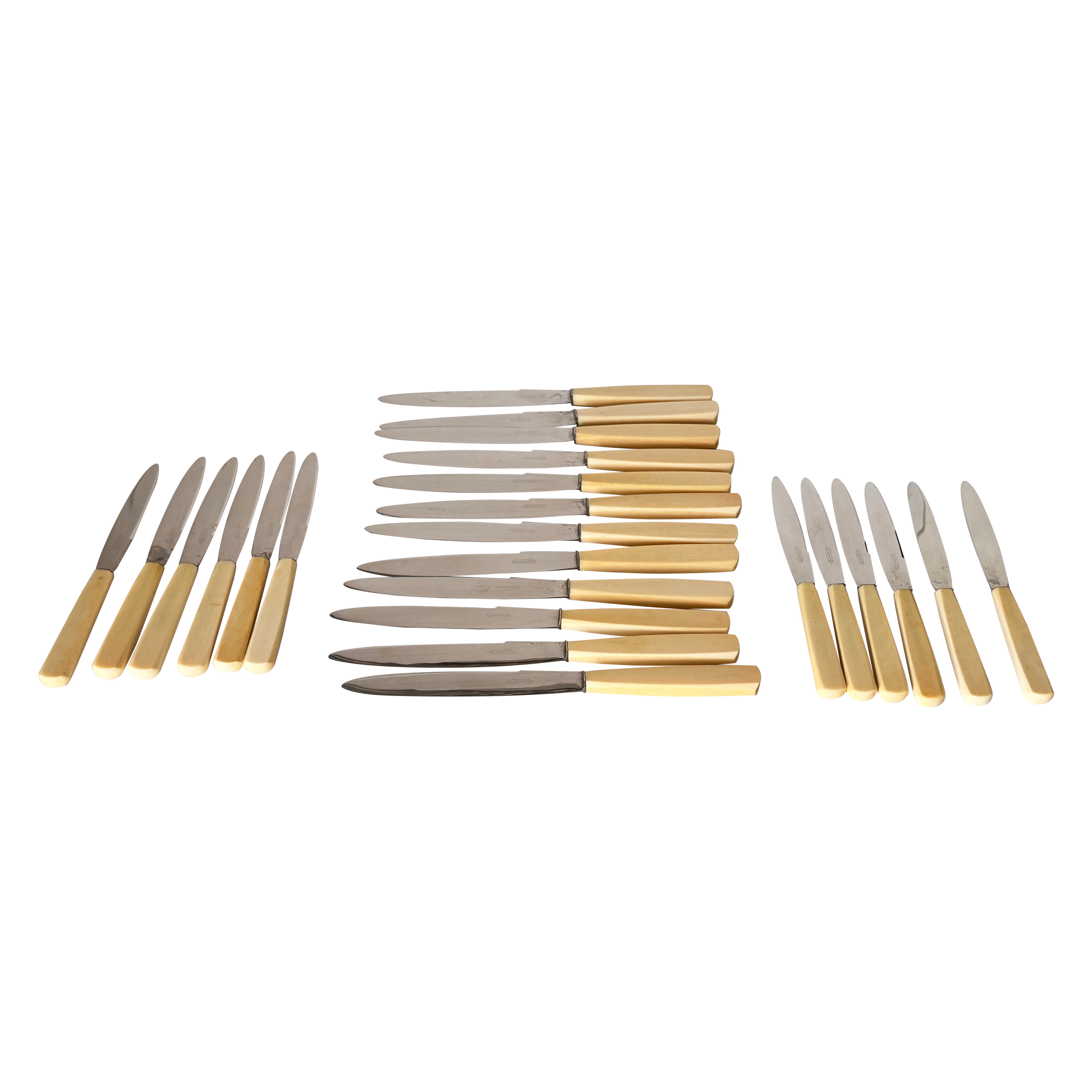 Set of 24 French Art Deco Dinner & Cheese Knives, Steel & Bone Handles, 1970s For Sale