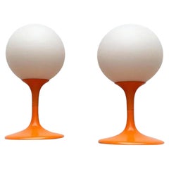 Set of 2 Mid-Century Swiss Table Lamps by E.R. Nele for Temde, 1960s