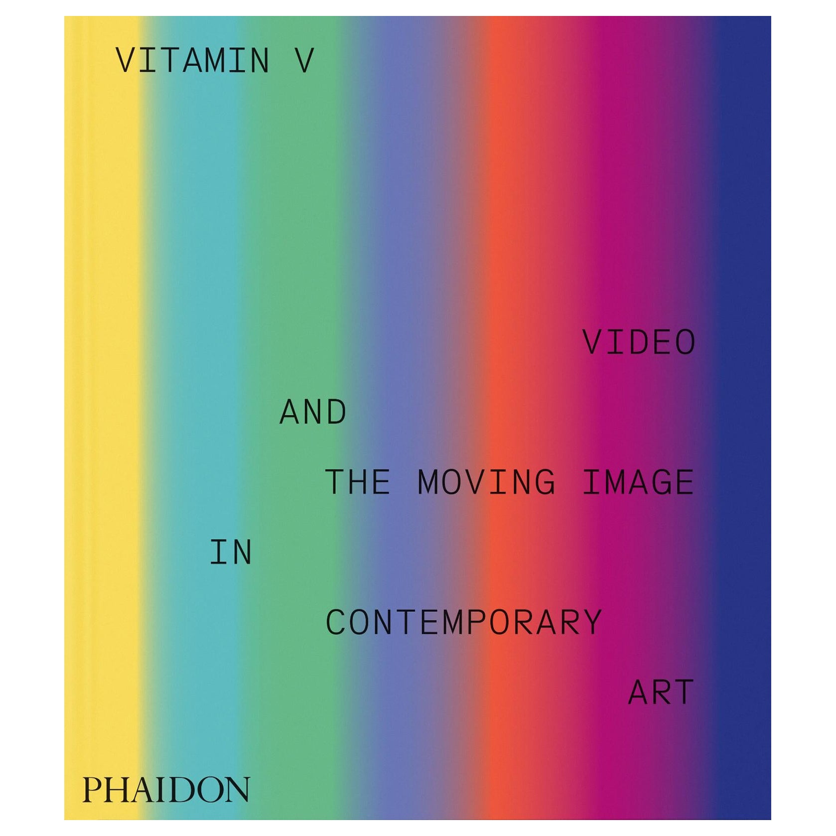 Vitamin V Video and the Moving Image in Contemporary Art For Sale