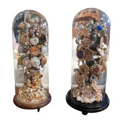 1850s Pair of Floral Seashell Dioramas in a Glass Dome