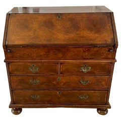 Large Antique William and Mary Burr Walnut Herringbone Inlaid Two Part Bureau