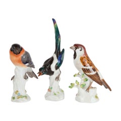 Conjunto de tres figuras de pájaros de porcelana alemana de Meissen
