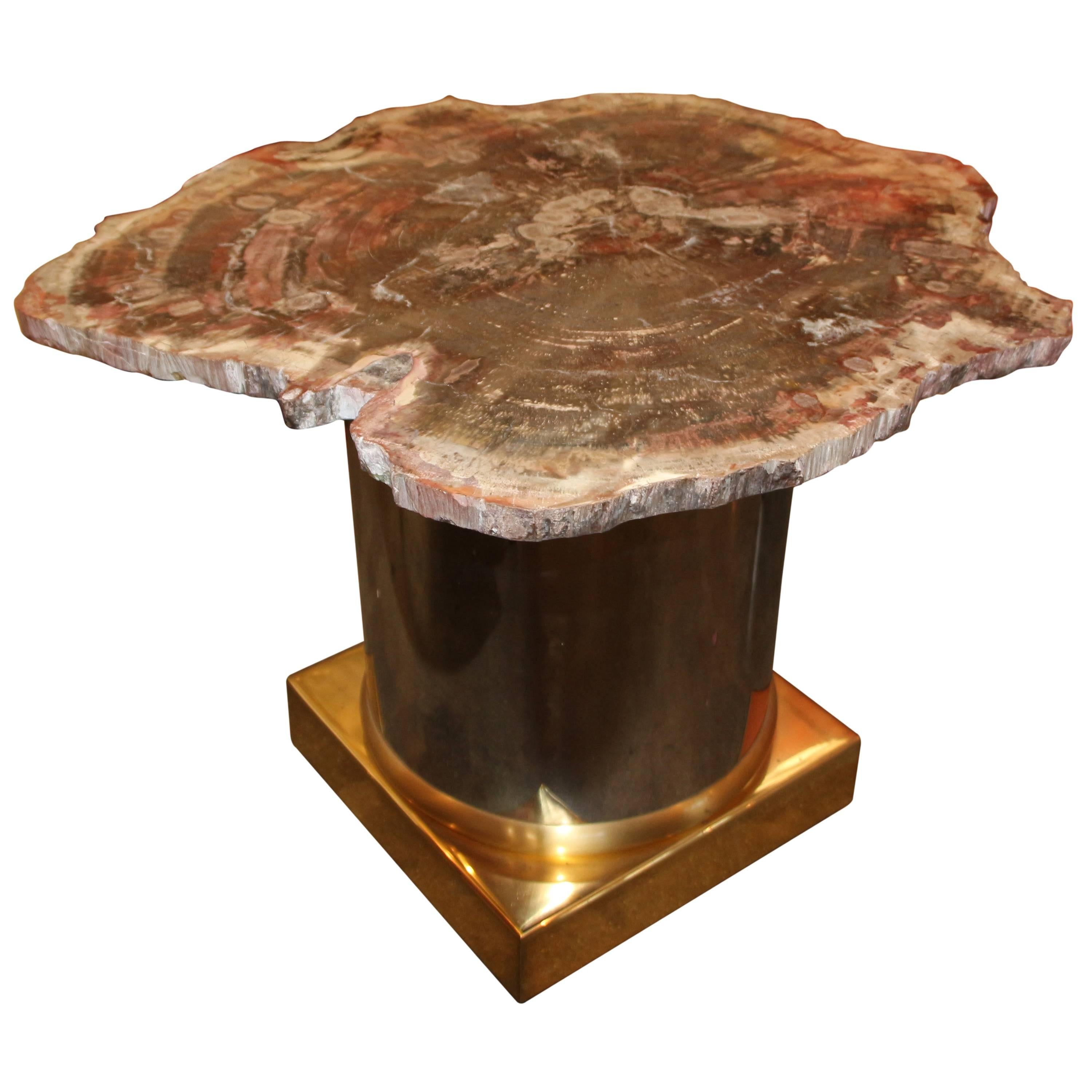 Beautiful Arizona Petrified Wood Table