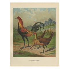 La orgullosa ave de caza - Una rara litografía sobre aves de corral del siglo XIX