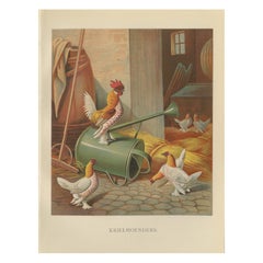 Antique The Charming Krielhoenders - A 19th Century Poultry Lithograph