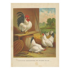 Antique Japanese Bantams with Black Tails - A Rare 19th Century Poultry Lithograph