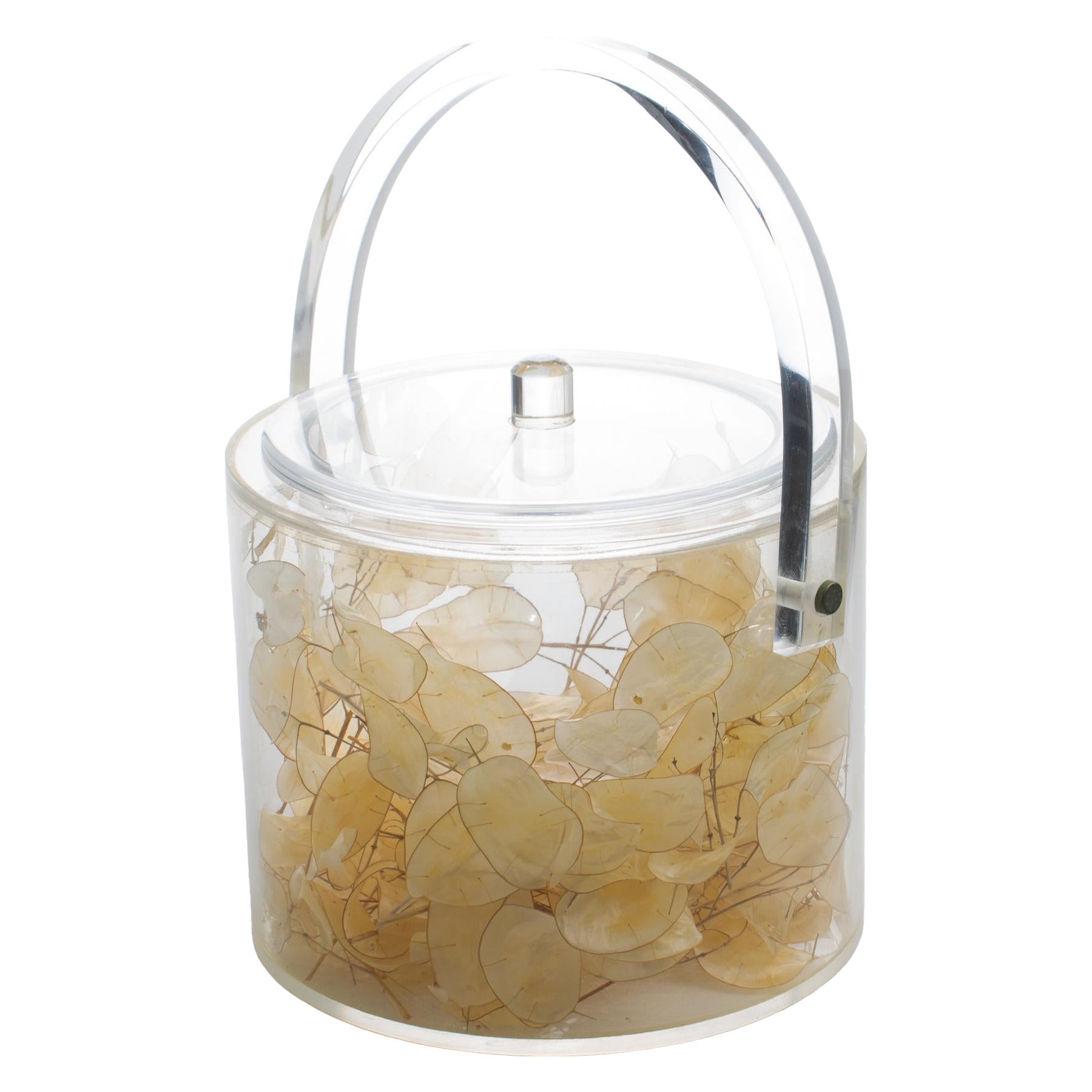Christian Dior Cubitera de Lucite con Lunaria Seca, hacia 1970