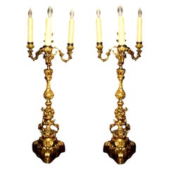 Pair of 19th Century French Louis XV Style Gilt Bronze Candelabras