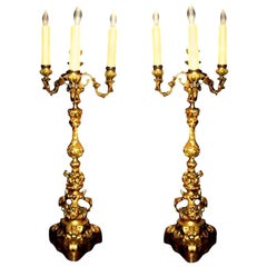 Pair of 19th Century French Louis XV Style Gilt Bronze Candelabras