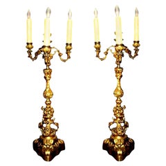 Paire de candélabres en bronze doré de style Louis XV français du 19e siècle