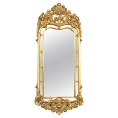 Beautiful Decorative French Louis XV Style Narrow Gilded Mirror