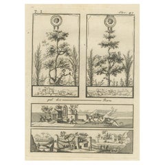 Dekorative römische Motive und architektonische Szenen aus der römischen Antike von Tommaso Piroli, 1789