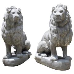 Pair of Massive Cast Bluestone Lions from Belgium