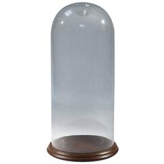 19th Century Large Glass Display Dome