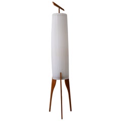 Vintage Rare & Elegant Mid Century Modern Two-Flamed Scandinavian Floor Lamp 1960s