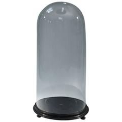 Monumental 19th Century Glass Display Dome