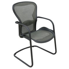 Herman Miller Ergonomic Aeron Side/Guest or Desk Chair Size B in Nickel Mesh