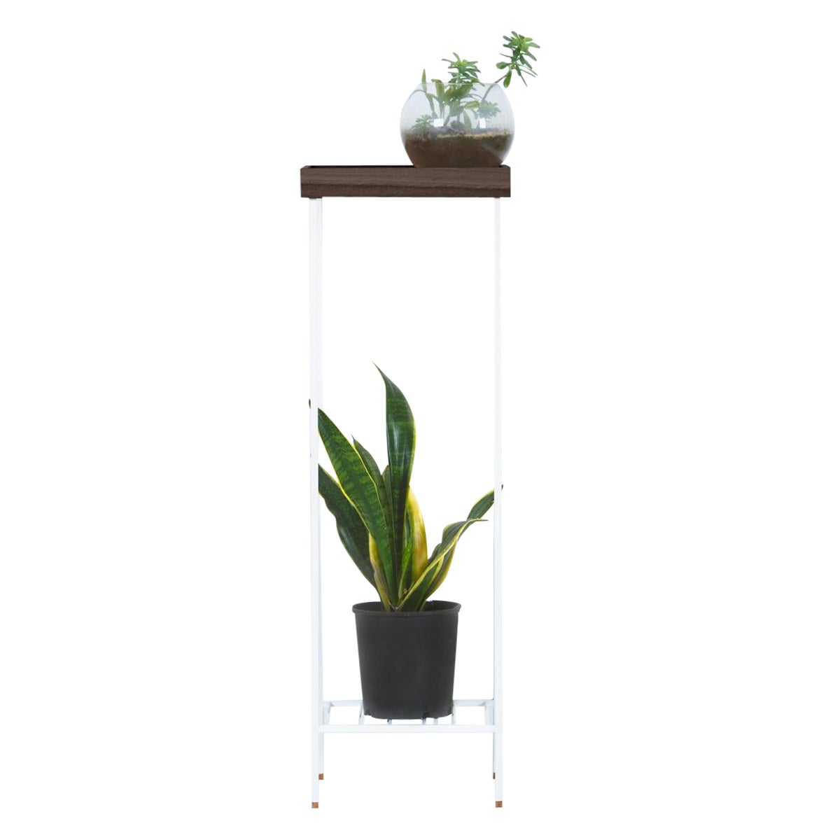 Massivholz Beistelltisch / Plant Stand - EDGE