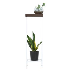 Massivholz Beistelltisch / Plant Stand - EDGE