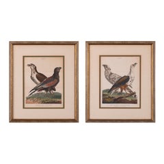 John Pass after Reinhold Eagle Engravings, c.1805
