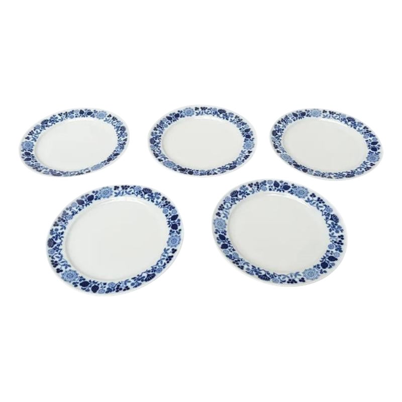 Set of 5 Mid-Century Ceramic Plates Series Hamburg Form 20 Decor Blumenspiel