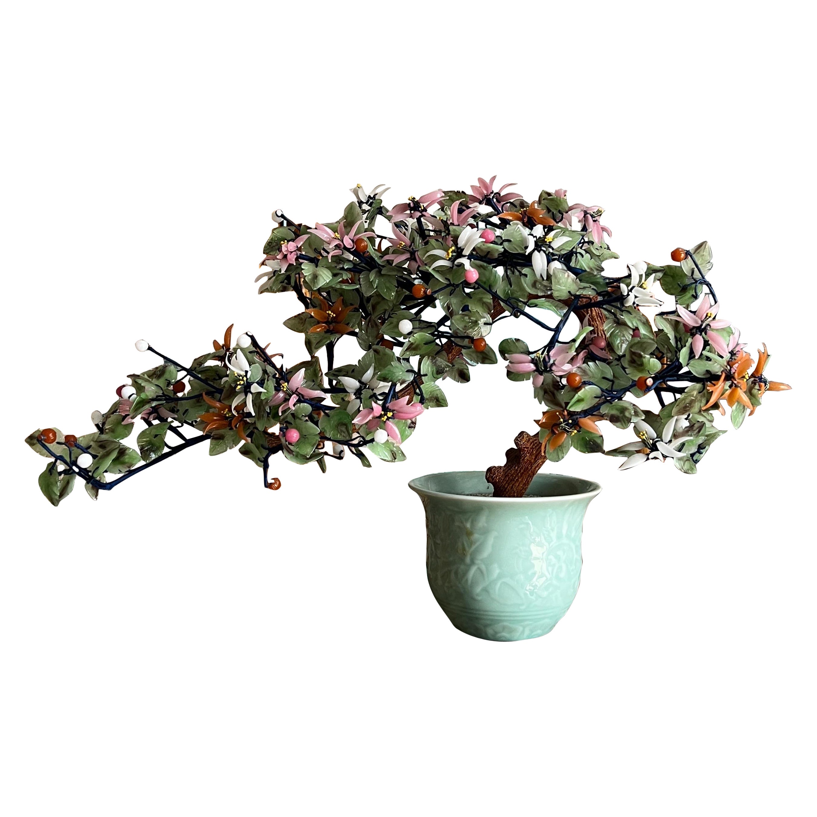 What type of pot is best for a jade plant?