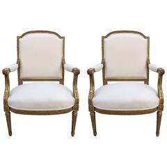 Pair of French Louis XVI Style 19th Century Giltwood Carved Chairs 7