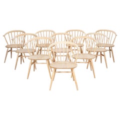 Set of Ten Mid-Century Bleached Elm Ercol Cowhorn Chairs