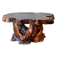 Mesa de centro de madera de burl lacada con base de raíz