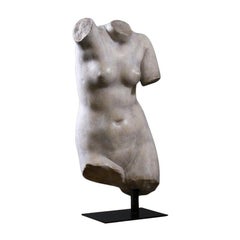 Buste De Venus