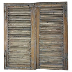19th C. Pair of French Painted Shutters