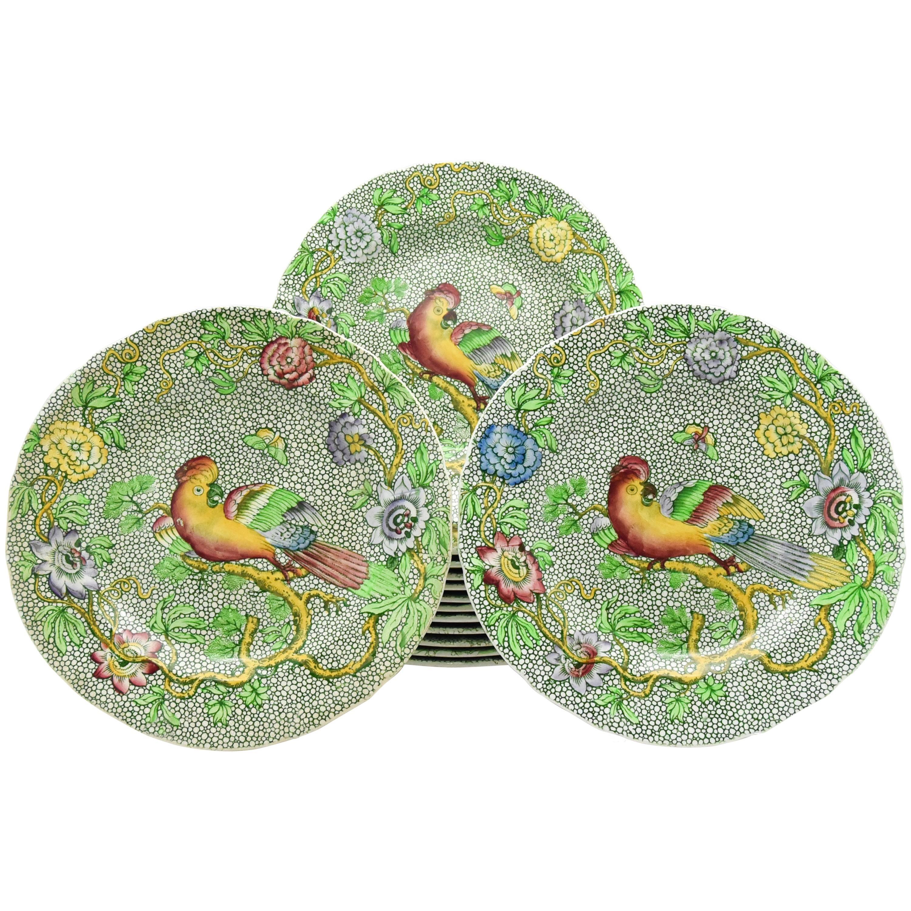 Set di 14 piatti da dessert Copeland Spode Late Aesthetic Movement con pappagallo verde