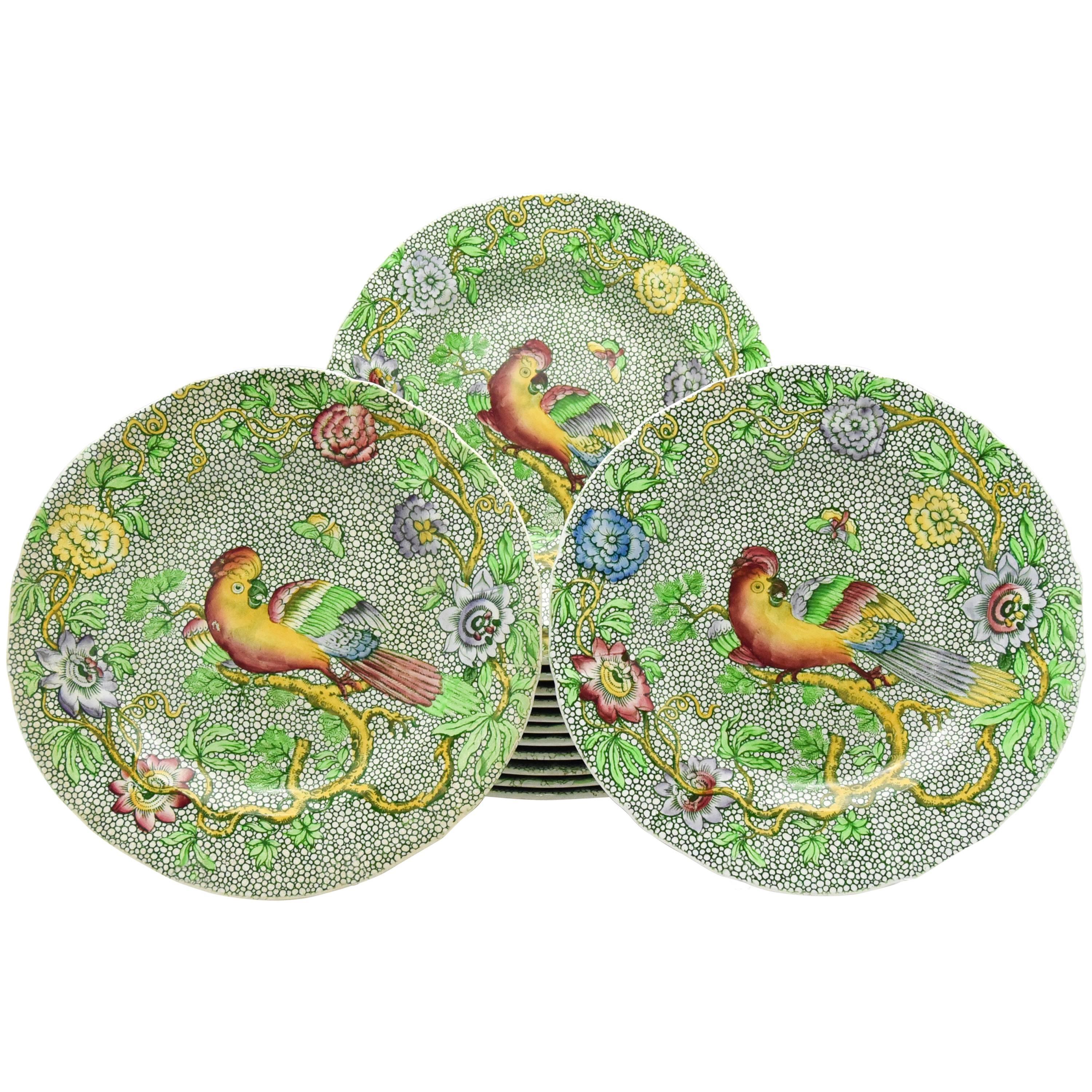 Satz von 14 Copeland Late Spode Aesthetic Movement Grüner Papagei Dessertteller im Angebot