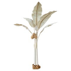 Tropische Küsten-Leinwand Bananenpalme