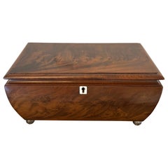 Antique Quality Regency Figured Mahogany Tea Caddy