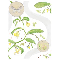 Papier peint Borrowdale Balsam Bowder Stone - Botanique, Nature, English Country