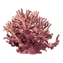 Natural Lavender/ Purple Coral