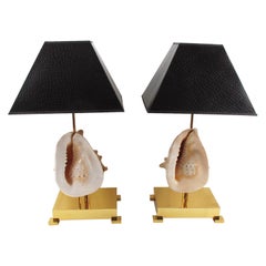 Rare Willy Daro Brass and Seashell Table Lamps, circa 1970