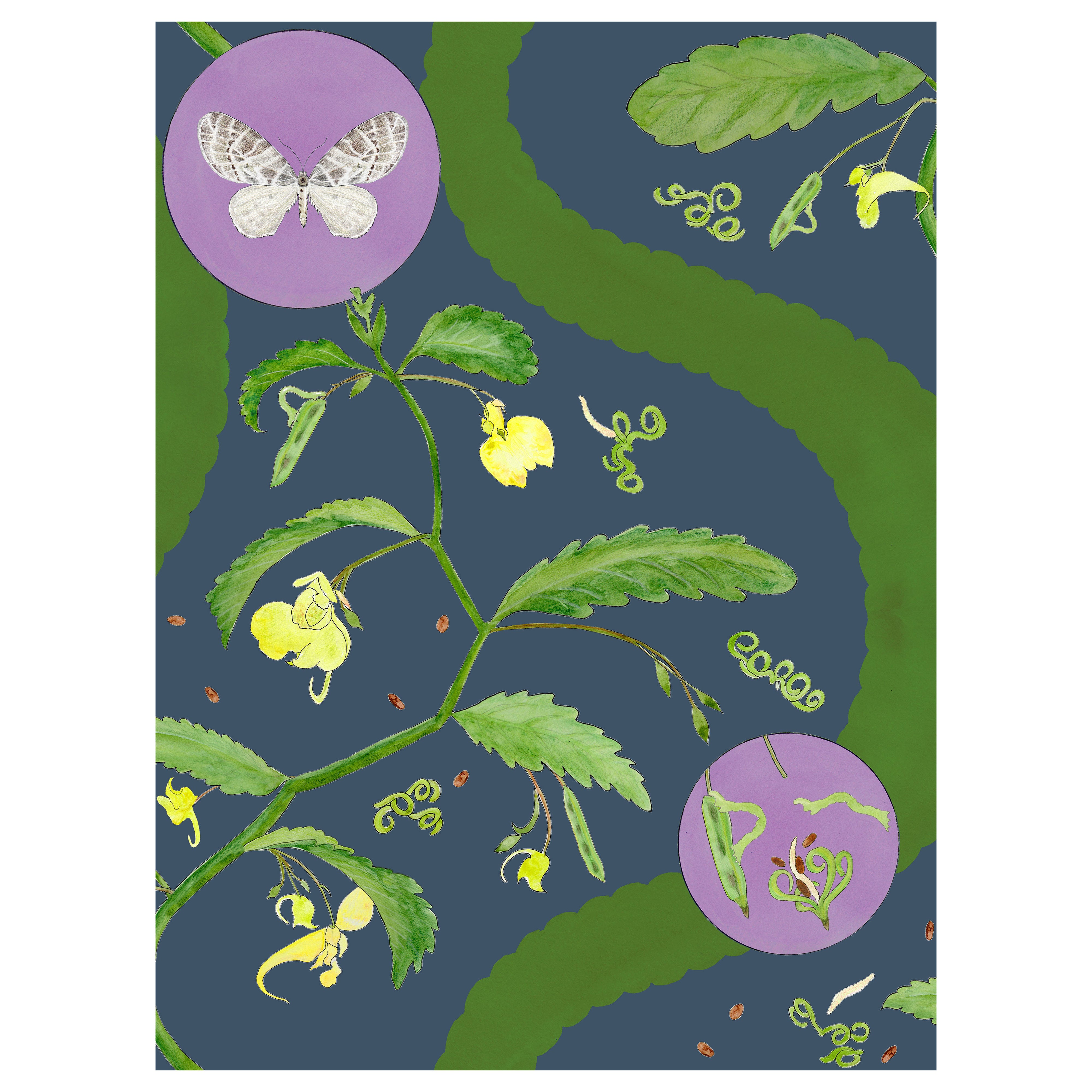 Papier peint Borrowdale Balsam in Heather Tarn - Botanique, Nature, English Country en vente