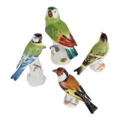 Colección de cuatro modelos de pájaros de Meissen Porcelain