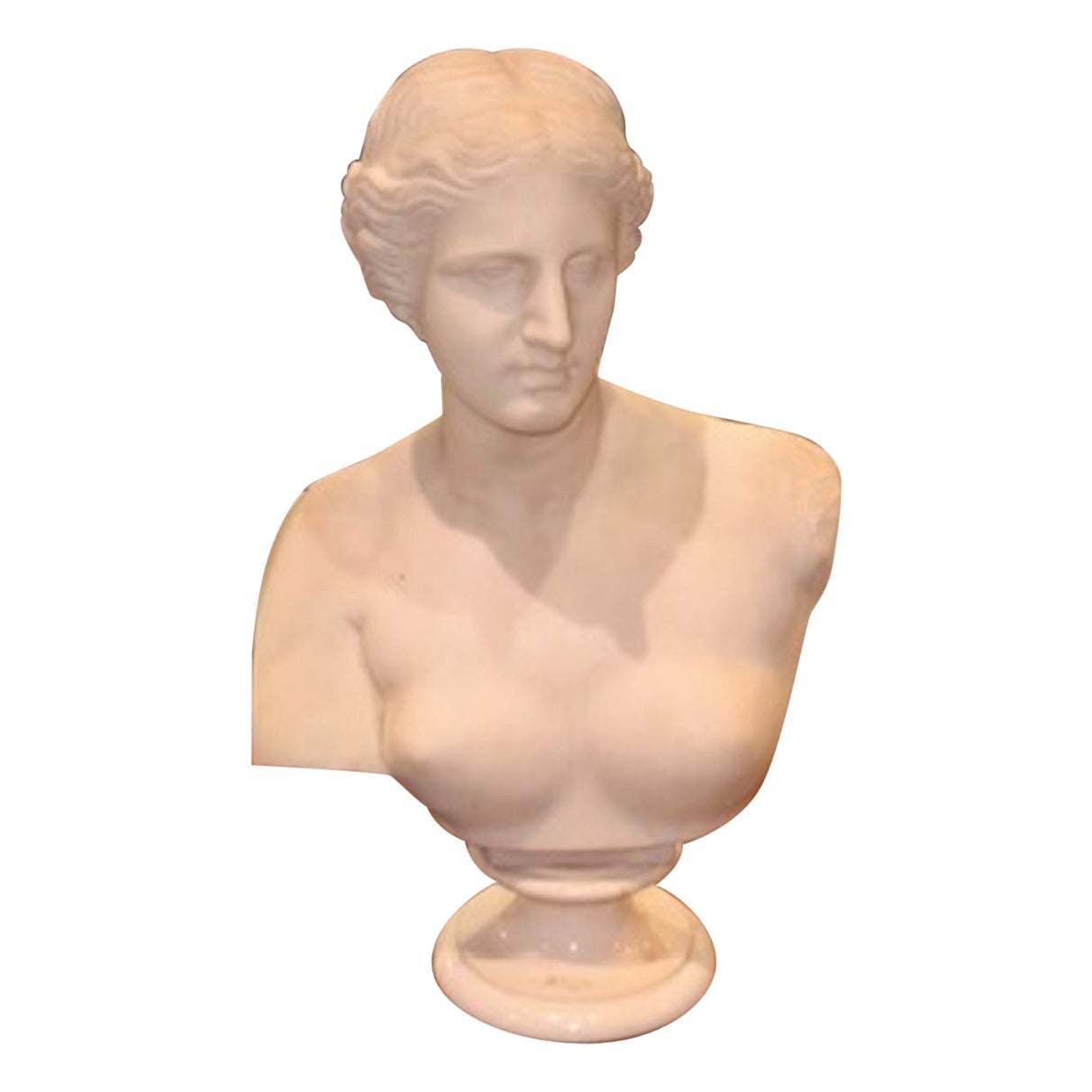 19th Century French Carved Bust of Diana