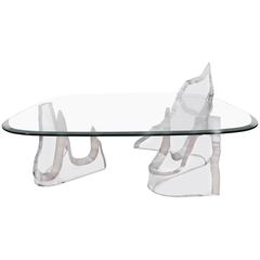 Lion in Frost Lucite 'Iceberg' Coffee Table with Glass Top 9