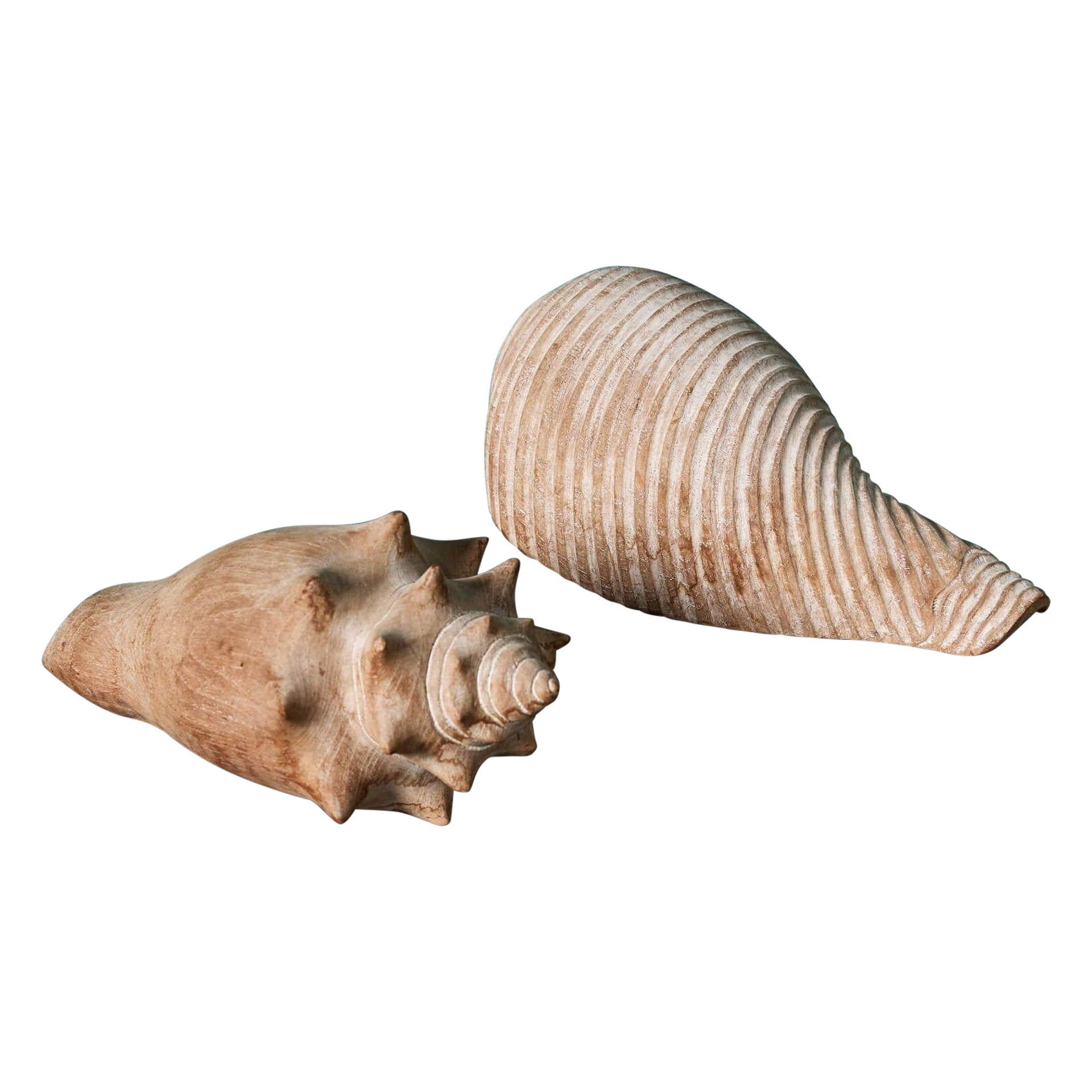 Pair of 20th Century Carved Hardwood Seashells
