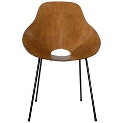 Mid-Century Plywood Shell Chair, Italy