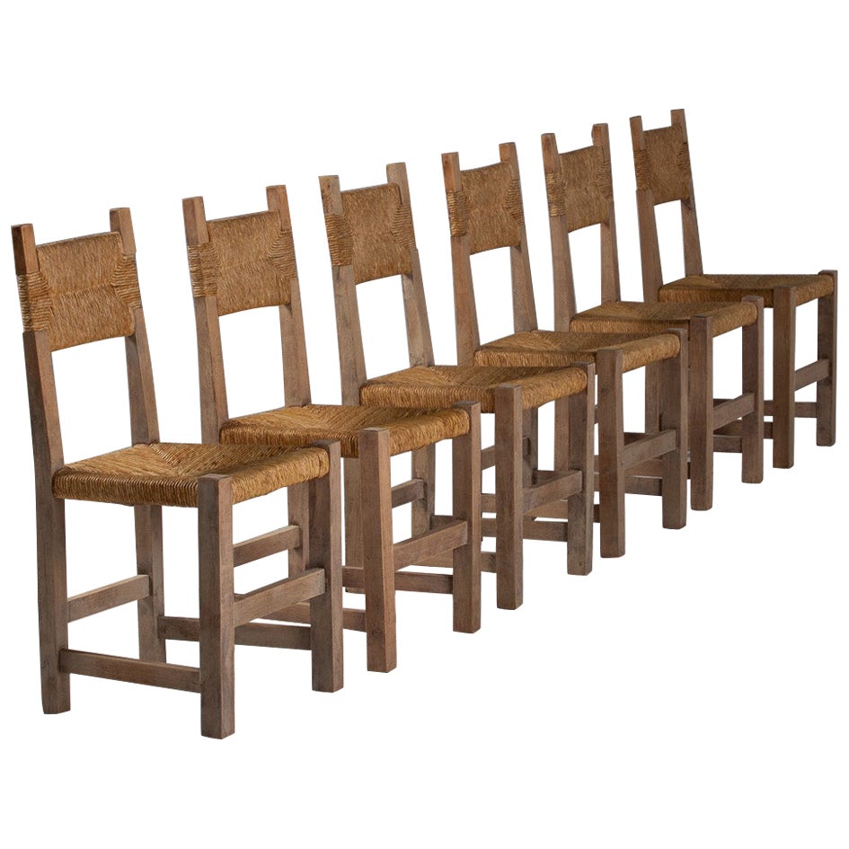 Set of Six Side Chairs in Rush and Oak, France, 1950s