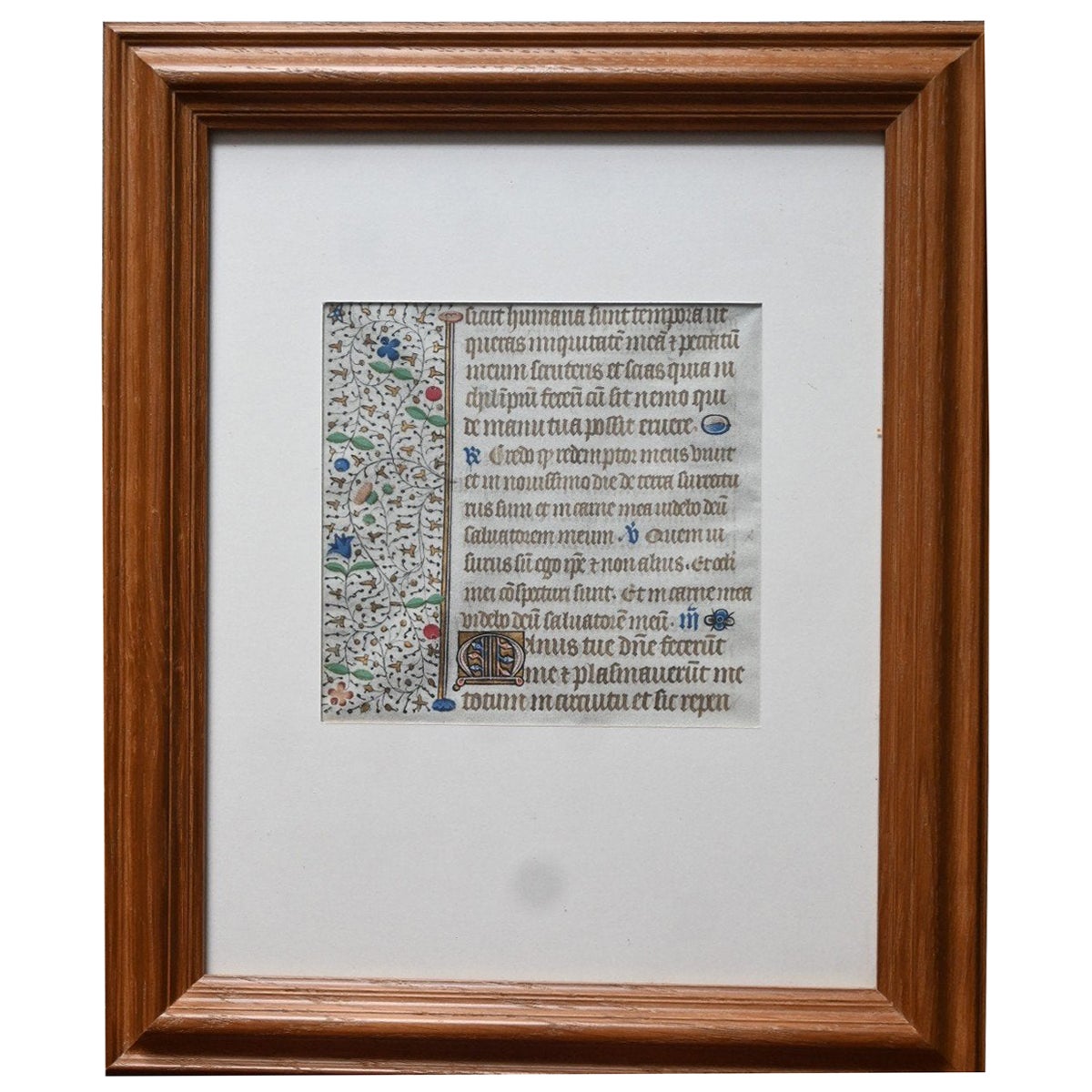 Manuscrito Iluminado Pergamino, Periodo Gótico, Siglo XV