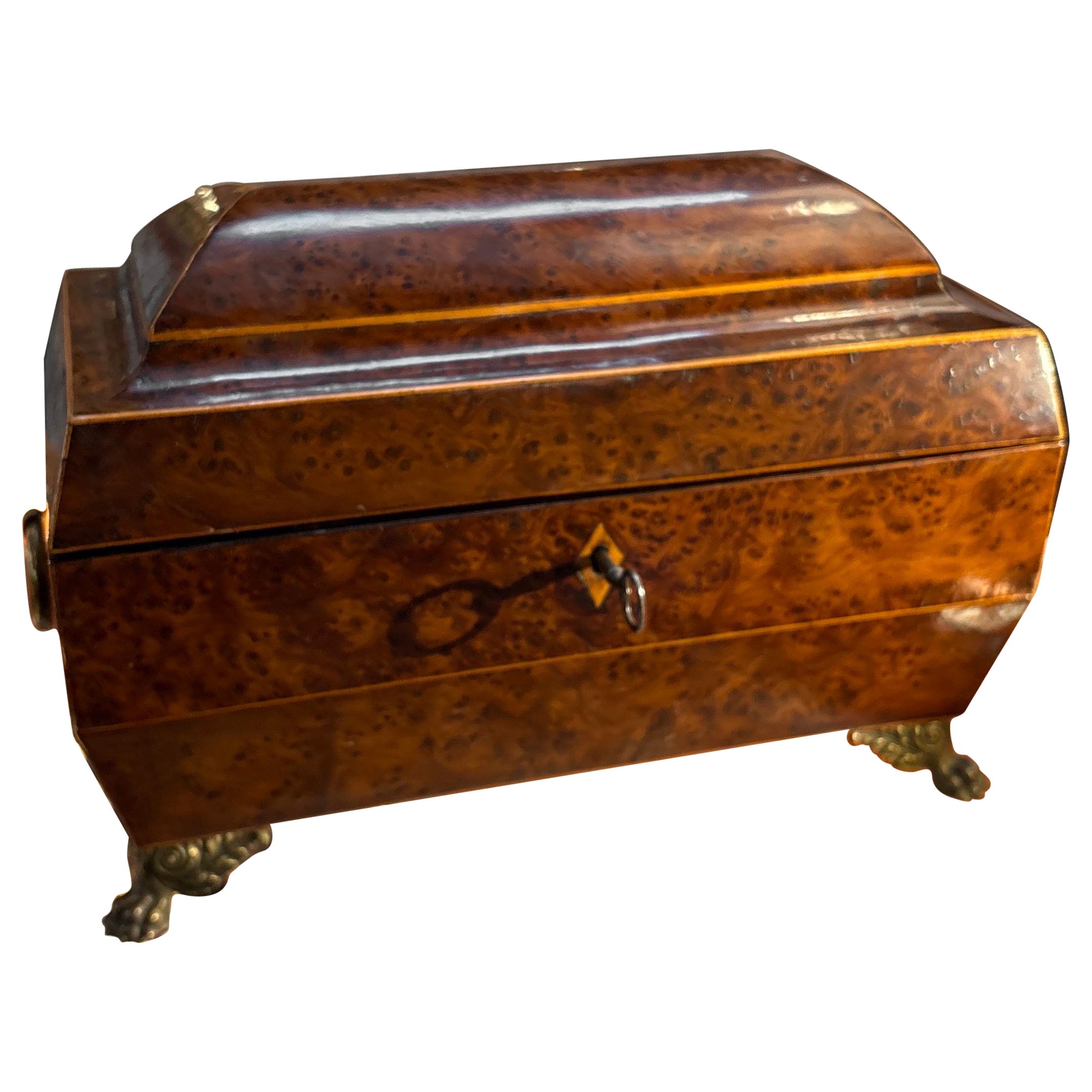 Porta tè in legno amboyna del periodo Regency inglese