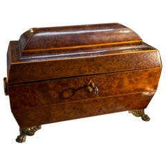 English Regency Period Amboyna Wood Tea Caddy